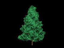 l arbre de noel